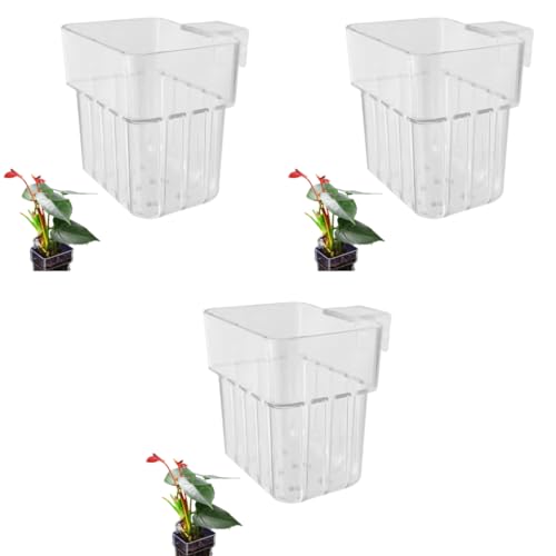 Qpets® Wall-Mounted Aquarium Plant Holder Aquarium Stand Cup Pot Acrylic Basket for Glass Fish Tank with Screw Fixed Draining Holes 8 x 8 x 5.7CM 3PCS Qpets® Wall-Mounted Aquarium Plant Holder Aquarium Stand Cup Pot Acrylic Basket for Glass Fish Tank with Screw Fixed Draining Holes 8 x 8 x 5.7CM 3PCS
